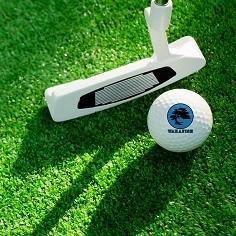 Golf ball printed with a blue palm tree logo, beside a white putter