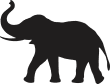Elephant01