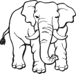 Elephant02