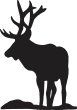 Stag01