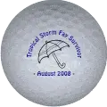 tropical storm golf ball print