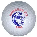 Hawaiian fix golf ball print