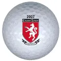 2007 golf ball print