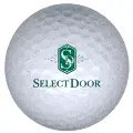 select door logo golf ball print