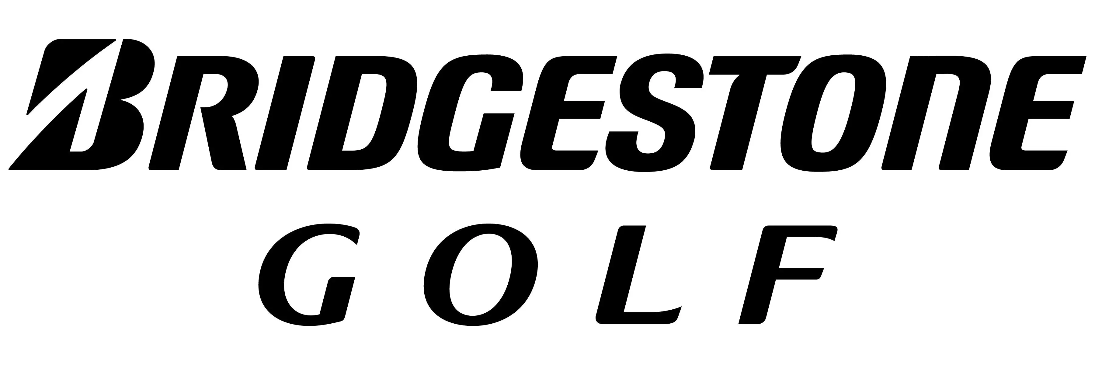 image 20 BSG Logo